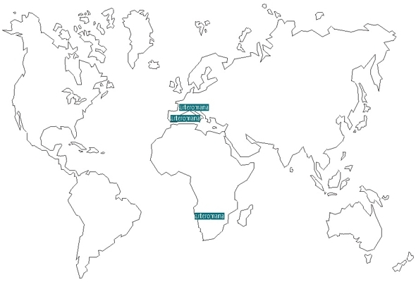 presence in the world